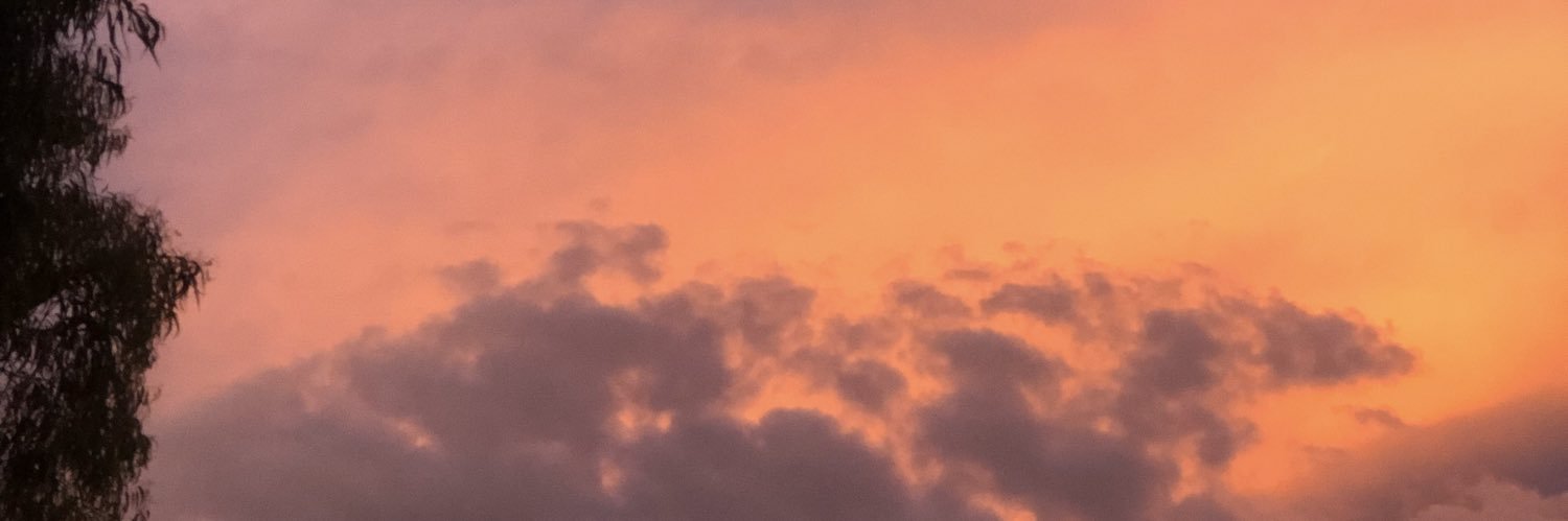 mariferradillo's profile banner image