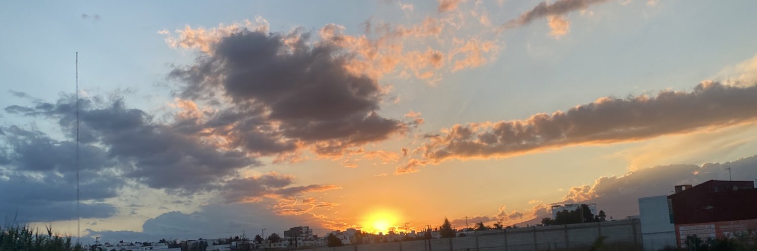 paloma_tch's profile banner image