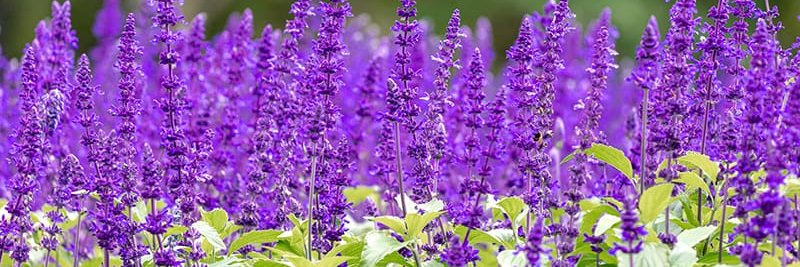 gidero1's profile banner image