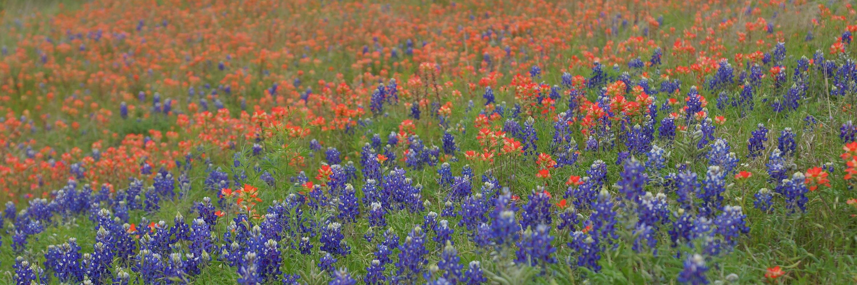 WhatIf We Dig Deeper banner