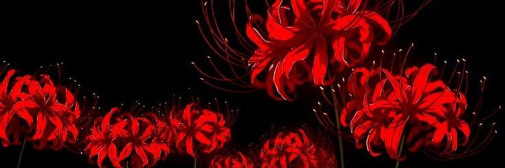 greenmchii's profile banner image