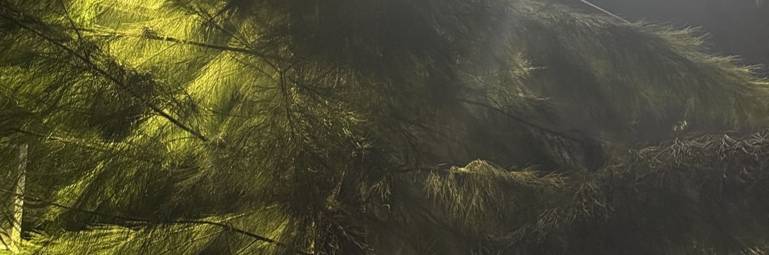 RogelVectors's profile banner image