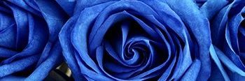 Melzp74's profile banner image
