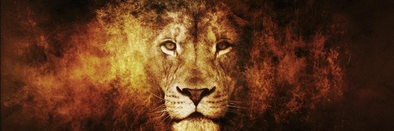 taroom's profile banner image