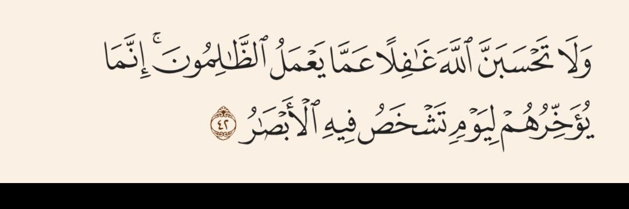 SAloutaibi's profile banner image