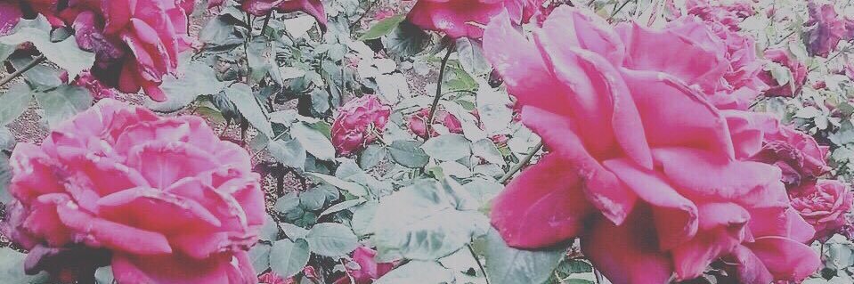 ________ohno_'s profile banner image
