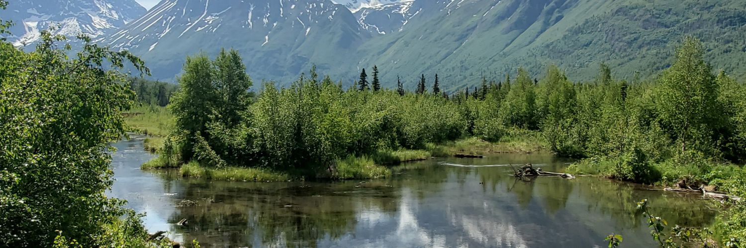 Bryan Anderson banner