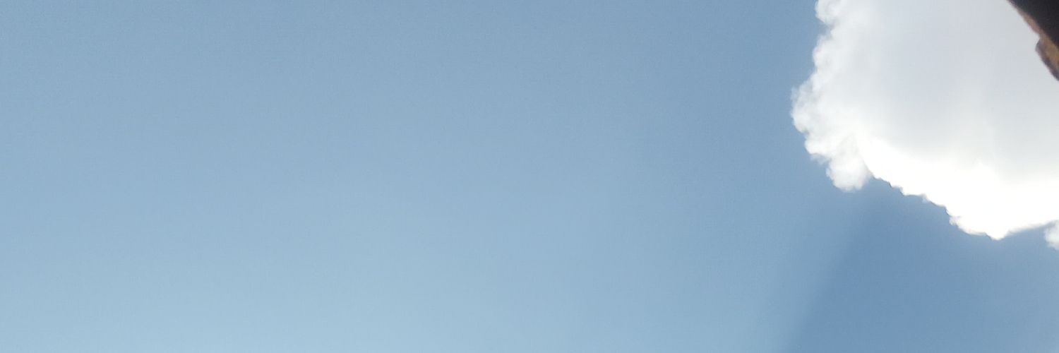 DMLS99's profile banner image