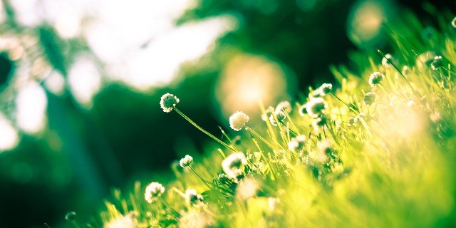 YaItsMarry's profile banner image