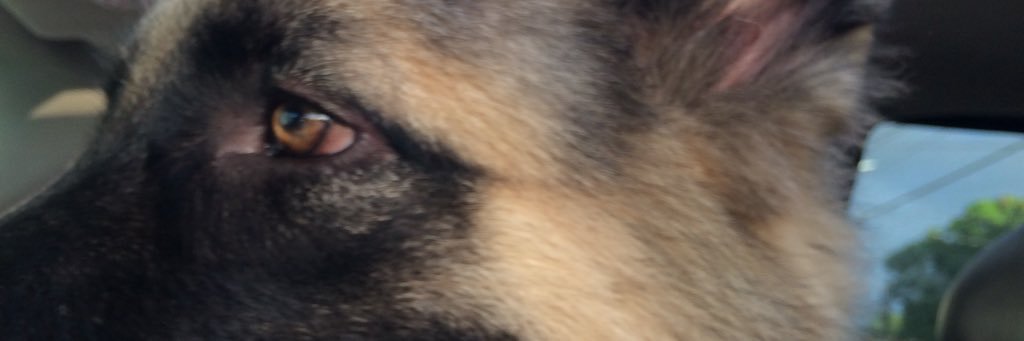 damspreciado's profile banner image