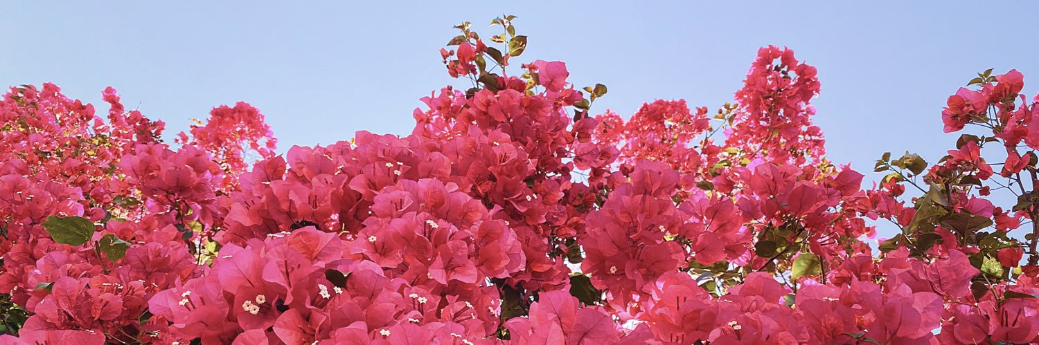 kristinelsonn's profile banner image