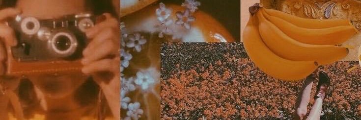 almismx's profile banner image