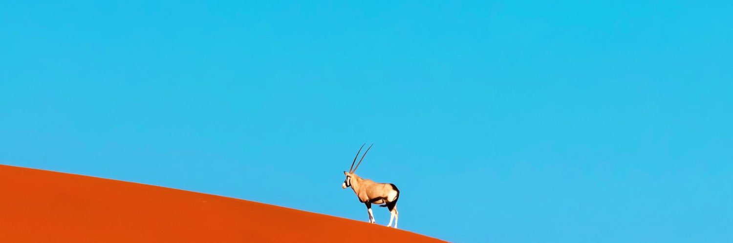 umazorinho's profile banner image