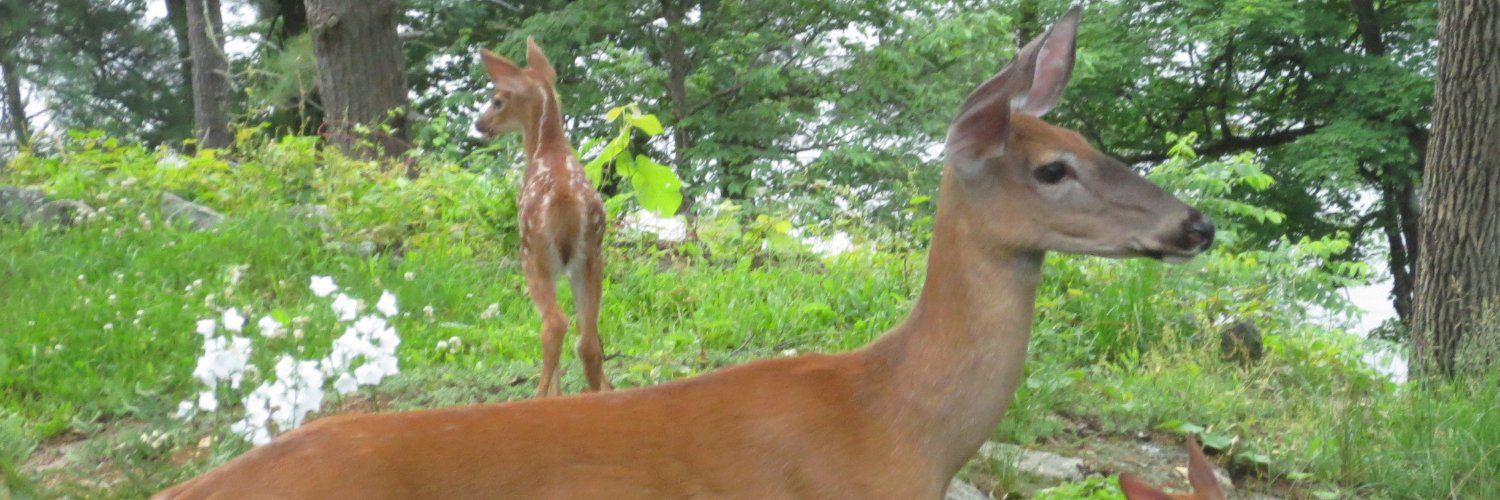 doug_heys's profile banner image
