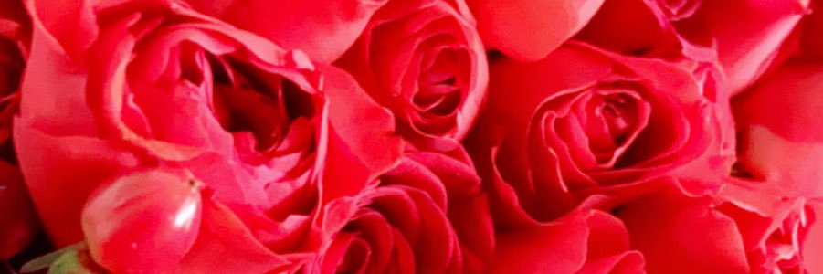 Tqalsarraf's profile banner image