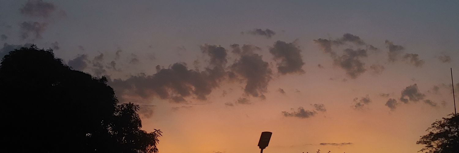 lanalgadeniall's profile banner image