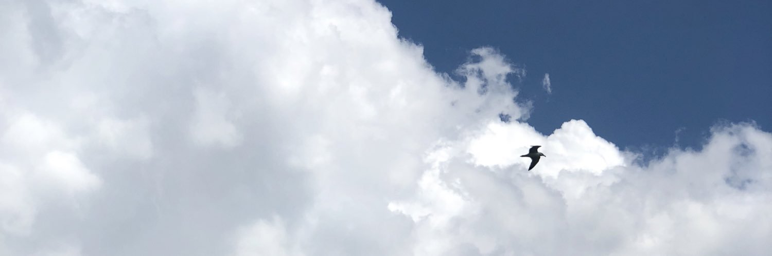 buthina_96's profile banner image