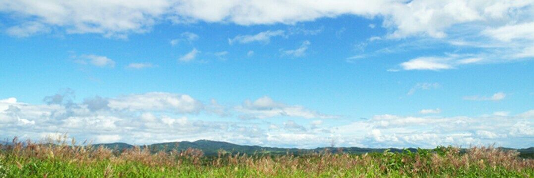 11kuuki's profile banner image