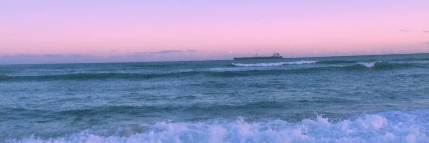 MarcoLemur's profile banner image
