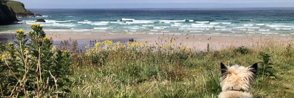 TomMichell Profile Banner