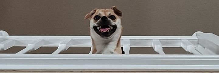 beglebum's profile banner image