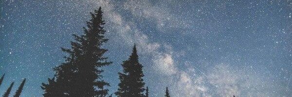 sofa_koval's profile banner image