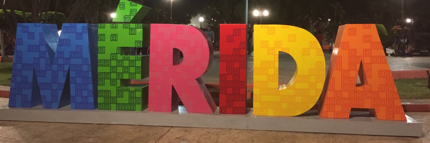 KatieHolaGata banner