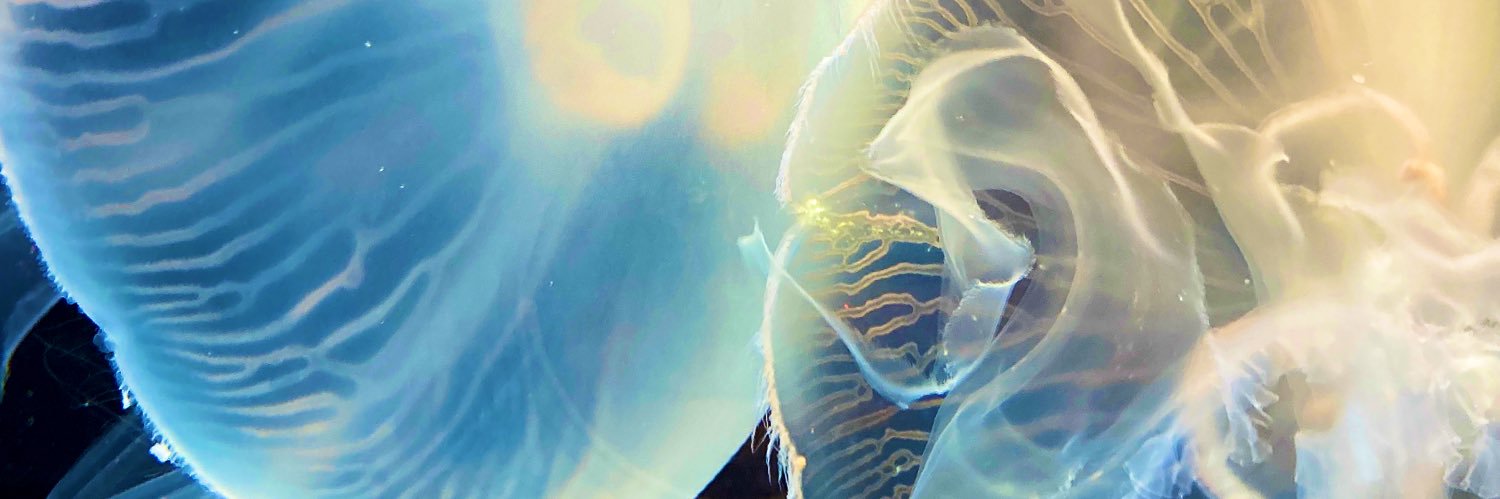 7sukechan's profile banner image