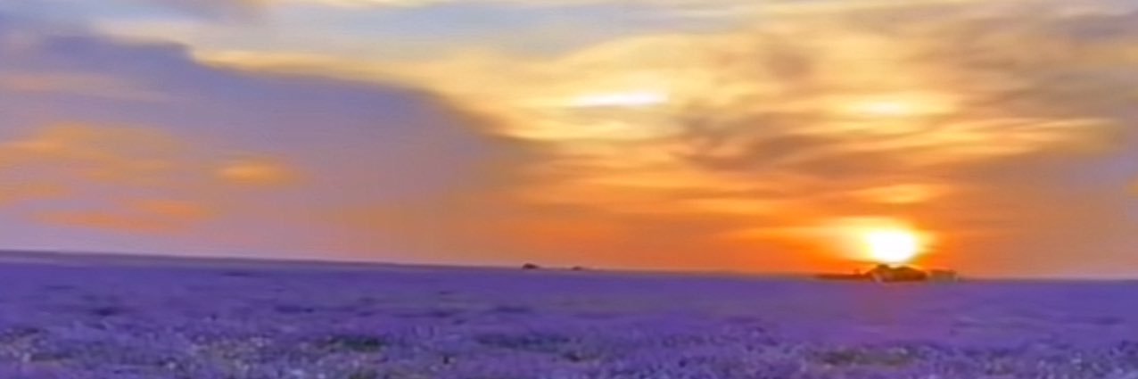aghr2737's profile banner image