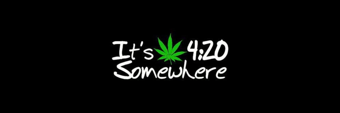 TreesNuthouse's profile banner image
