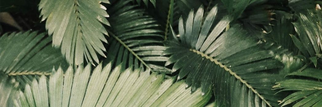 ifaaziza's profile banner image