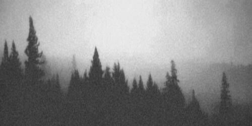 malakazayed's profile banner image