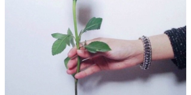 imo___2's profile banner image