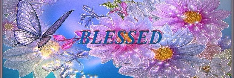 BarbaraZaha's profile banner image