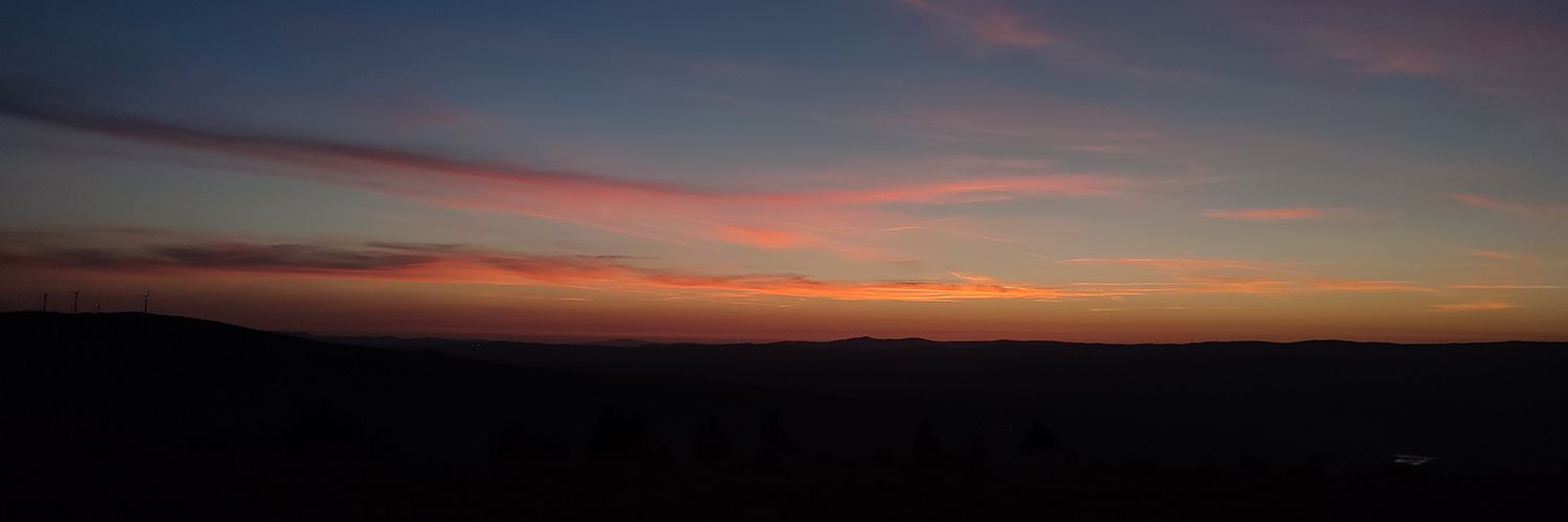 luisa_donat's profile banner image
