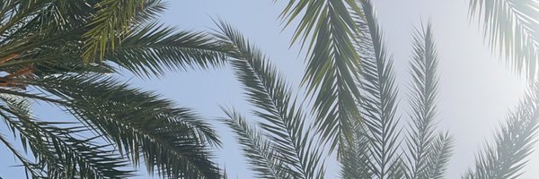 ronanarchibaldd Profile Banner