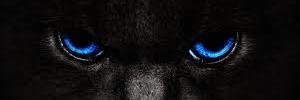 Aeva_Sky's profile banner image
