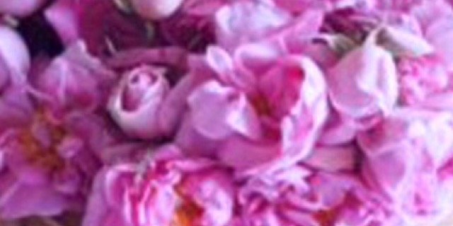 MAHRA_20's profile banner image