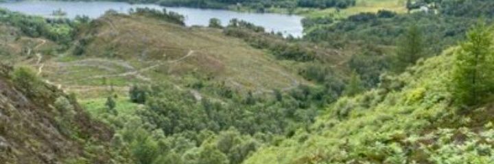 Soterà 🇬🇧 🏴󠁧󠁢󠁳󠁣󠁴󠁿 banner