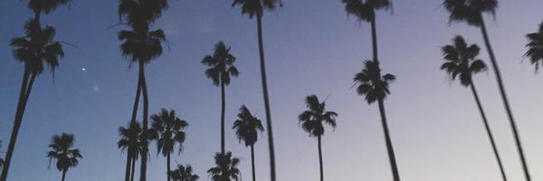 amy5bender Profile Banner