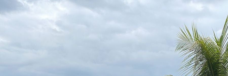 dheyltf's profile banner image