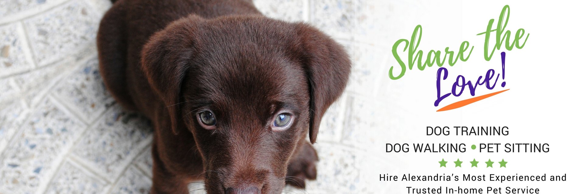 Alexandria Pet Care banner