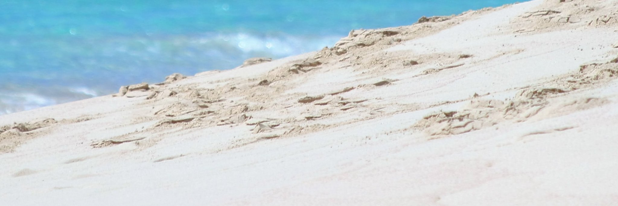 USAPar3Golf's profile banner image