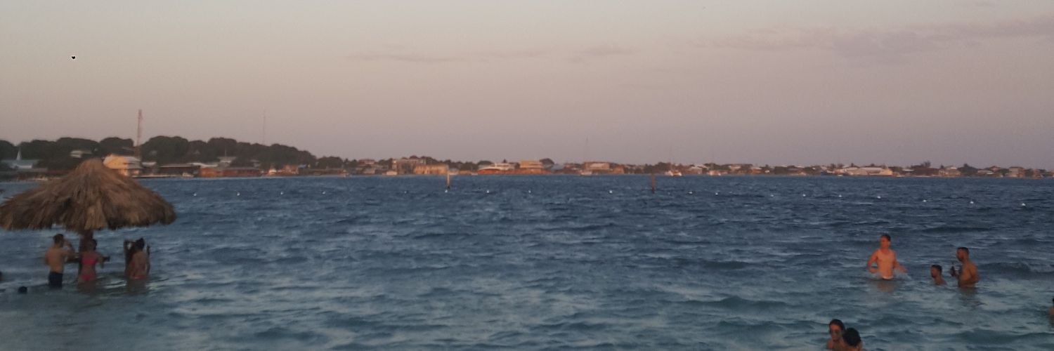 ccorea43's profile banner image