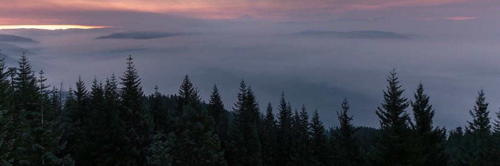 no1currlol's profile banner image
