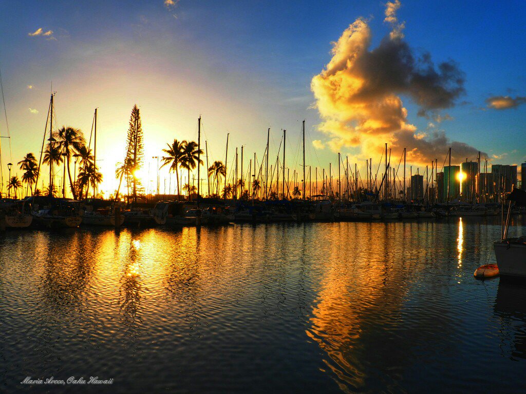 AngelSheaHawaii's profile banner image