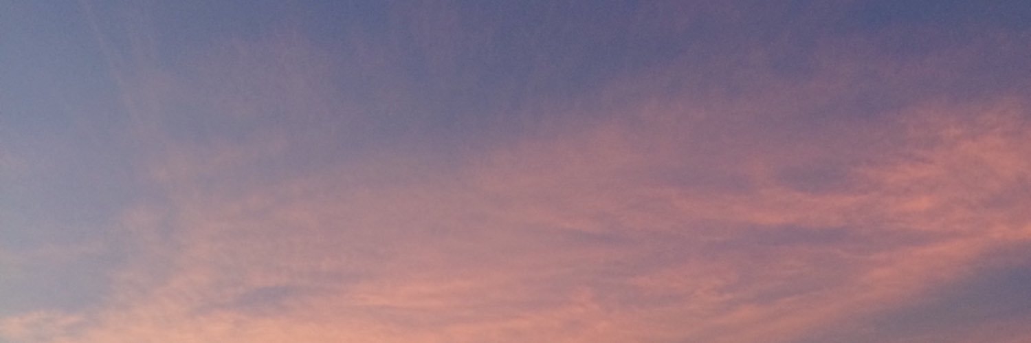 dibodingdongg's profile banner image