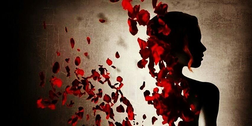 amase1926's profile banner image