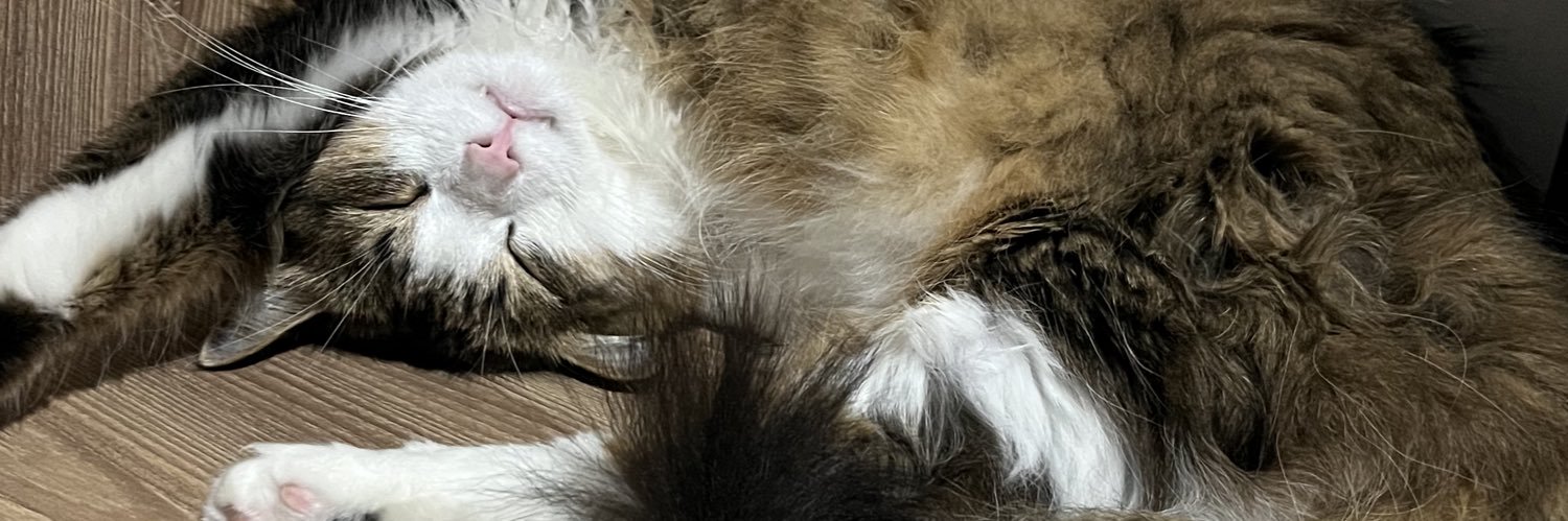 Red_jhonsonn's profile banner image