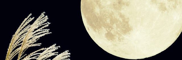 fkiho's profile banner image